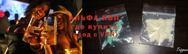 шишки Киренск