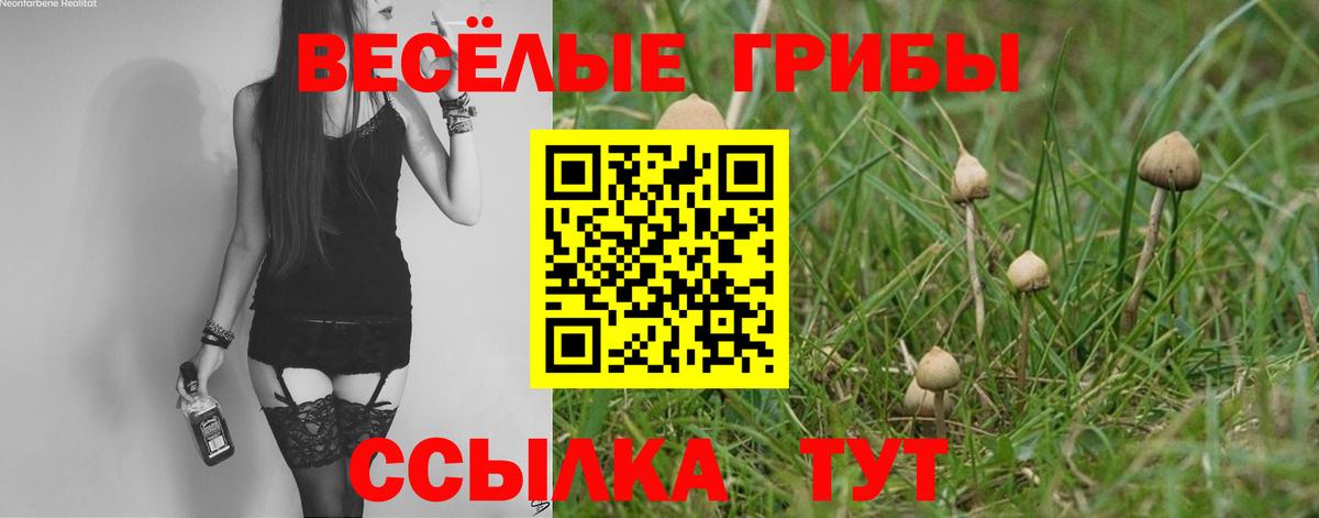 Галлюциногенные грибы Psilocybine cubensis  Вход с VPN  Кирово-Чепецк 
